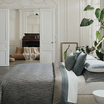 Bold, Trail, Wool Velvet, Adventure